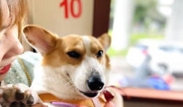 吃瓜爆料的小熊是谁啊,吃瓜爆料小熊的真实身份大揭秘